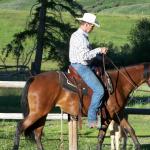 JON TRAINING A HORSE