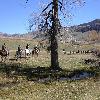 HEADING OUT WITH A GROUP OF HUNTERS TO THEIR DROP CAMP